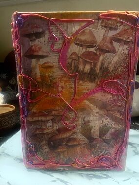 Mystical & Magical Mushroom Book Box Art piece